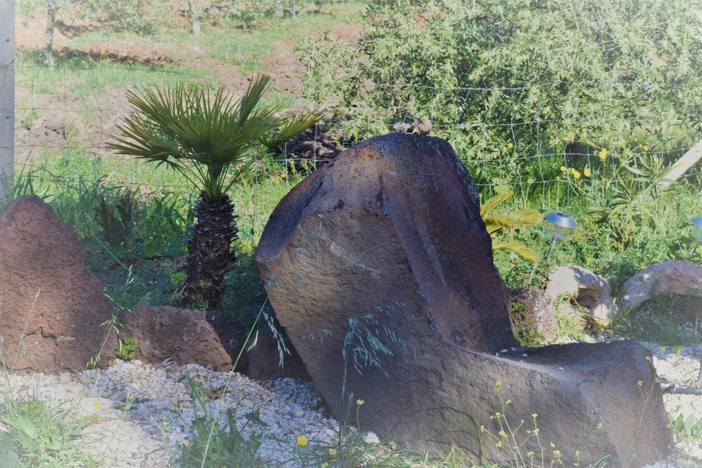 La Ginestra Pensionat Orosei Exteriör bild